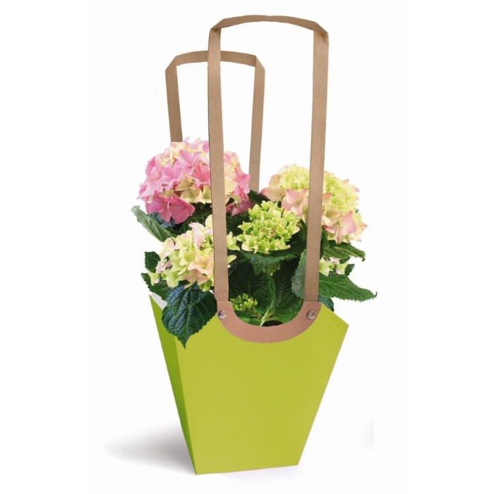 SHOPPER MEDIA CARTA VERDE MELA H48